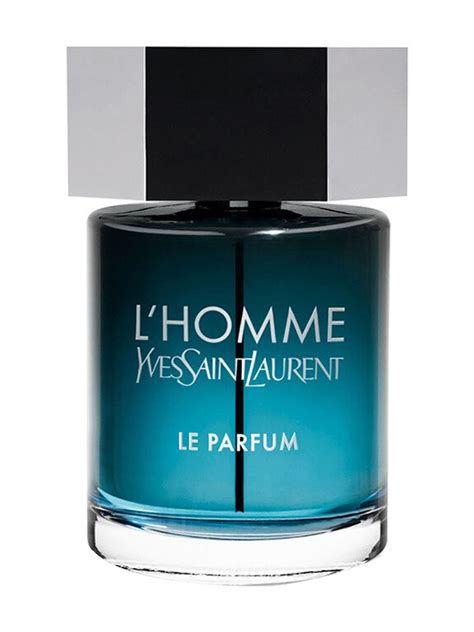 ysl l'homme edp notes|ysl l'homme le.